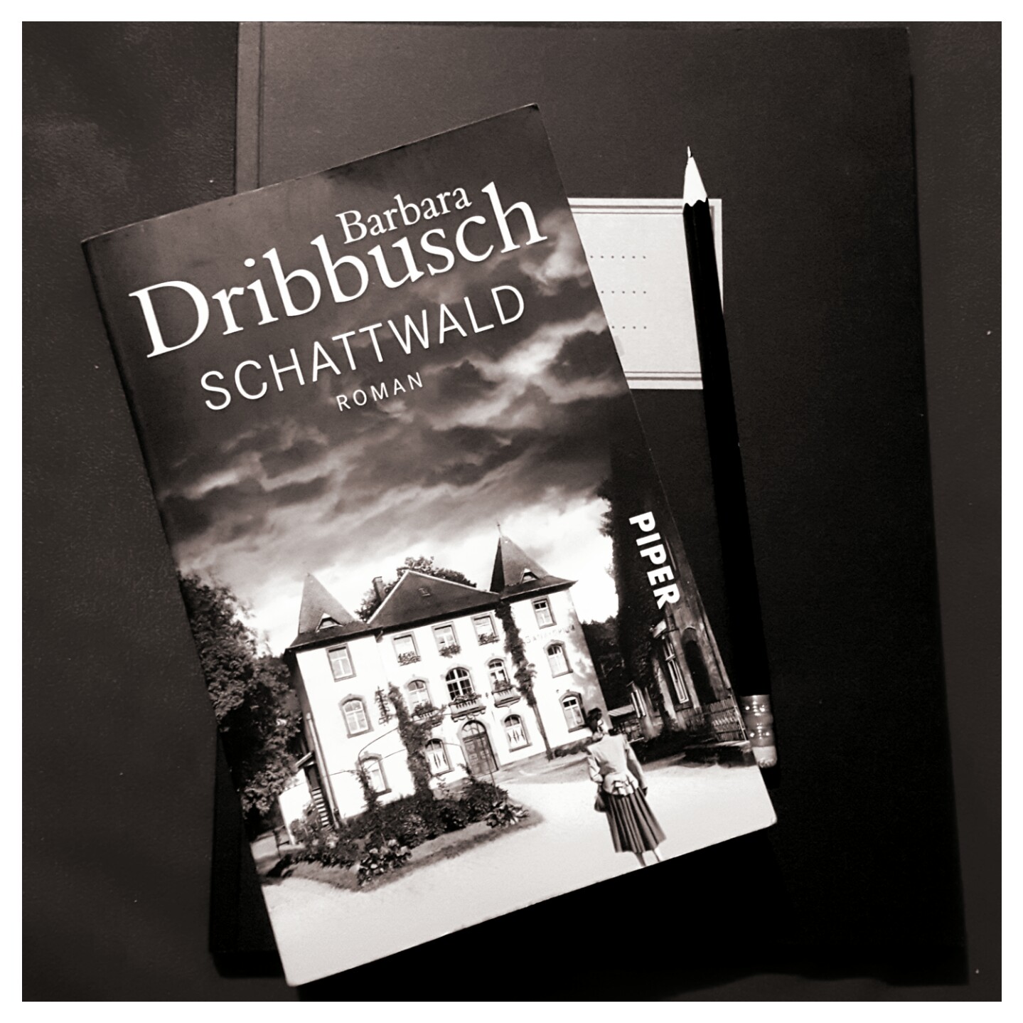 [Rezension] Barbara Dribbusch – Schwattwald