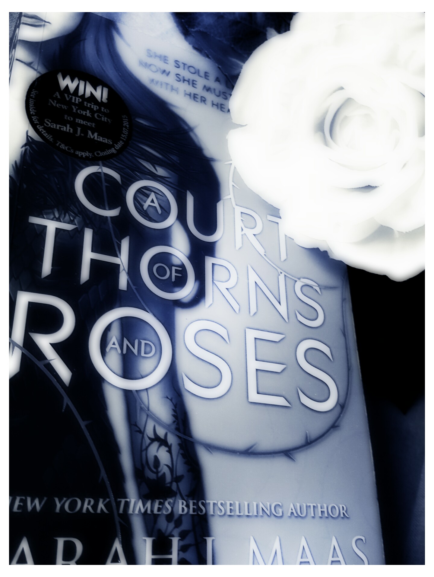 [Rezension] Sarah J. Maas – A Court of Thorns and Roses