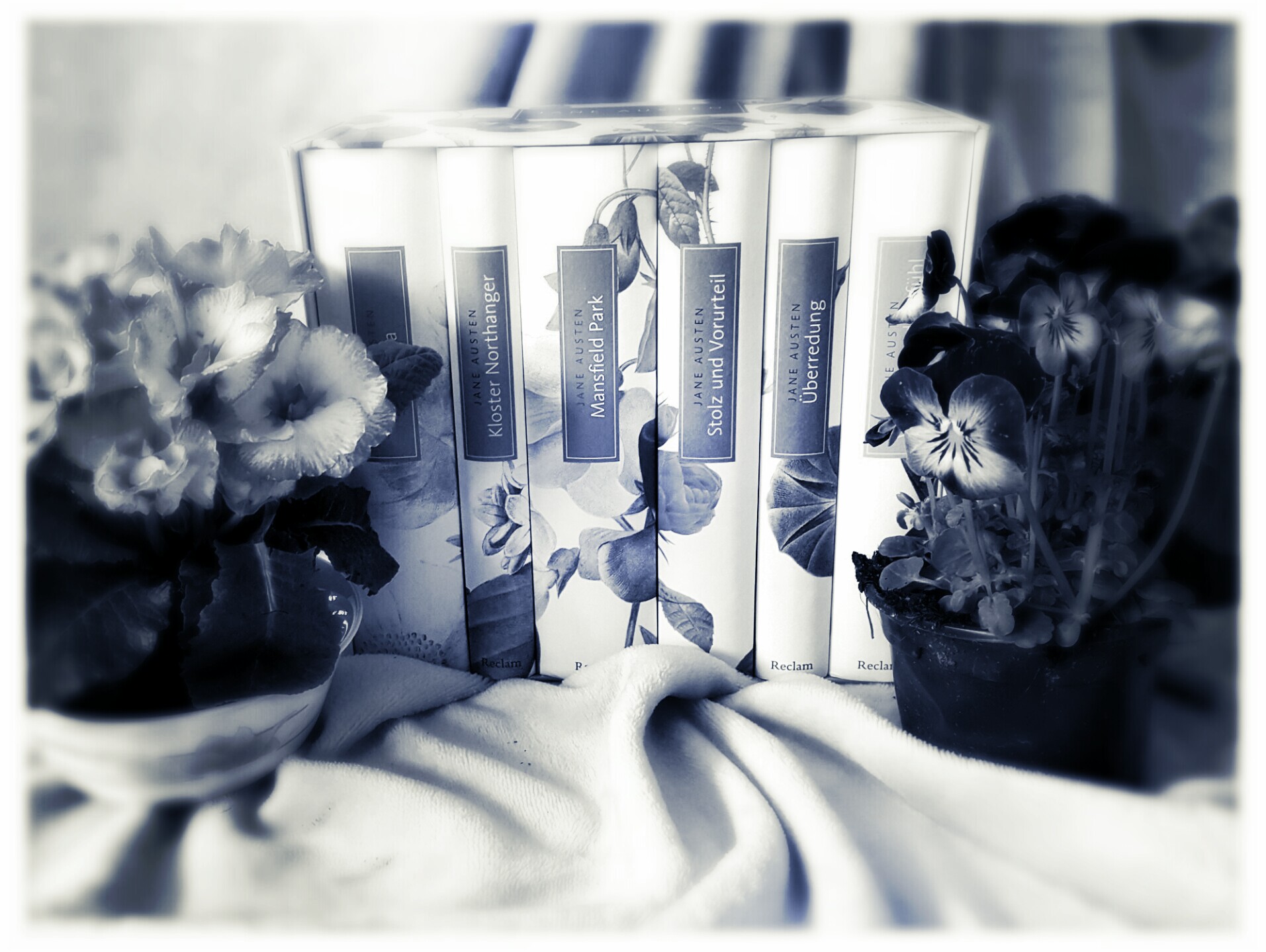 [Rezension] Jane Austen Schuber