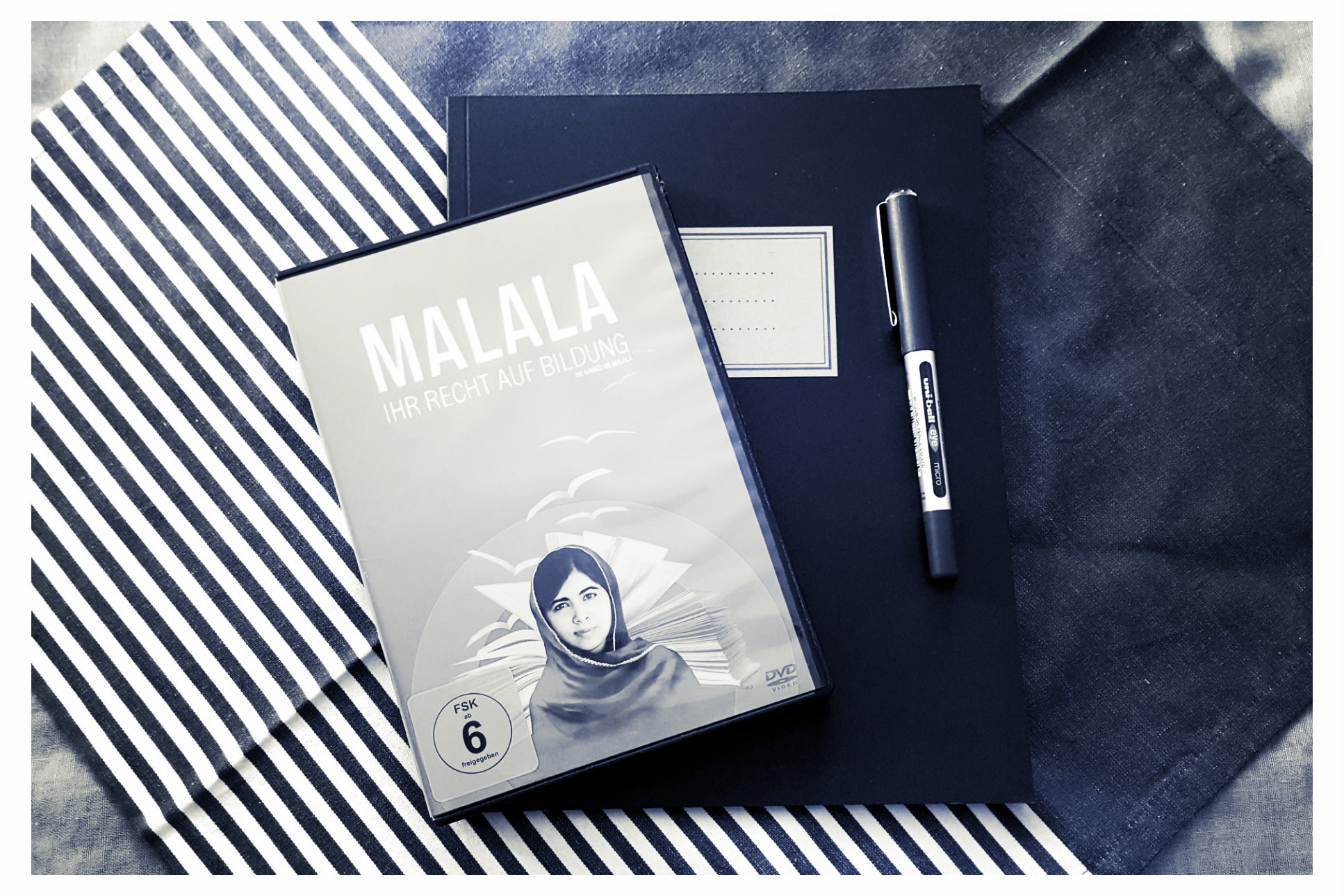 [Dokumentation + Gastrezension] Malala. Ihr Recht auf Bildung // Ich bin Malala