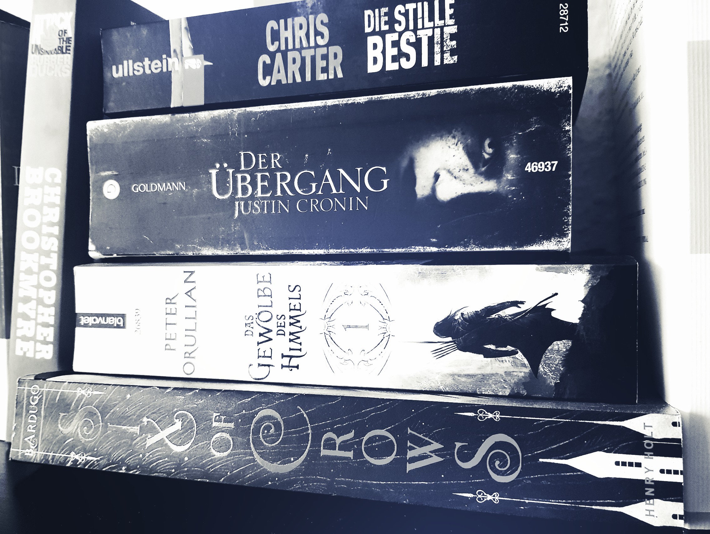 [Federlesen] Über den Stapel ungelesener Bücher und die Unsinnigkeit von Buchkaufverboten