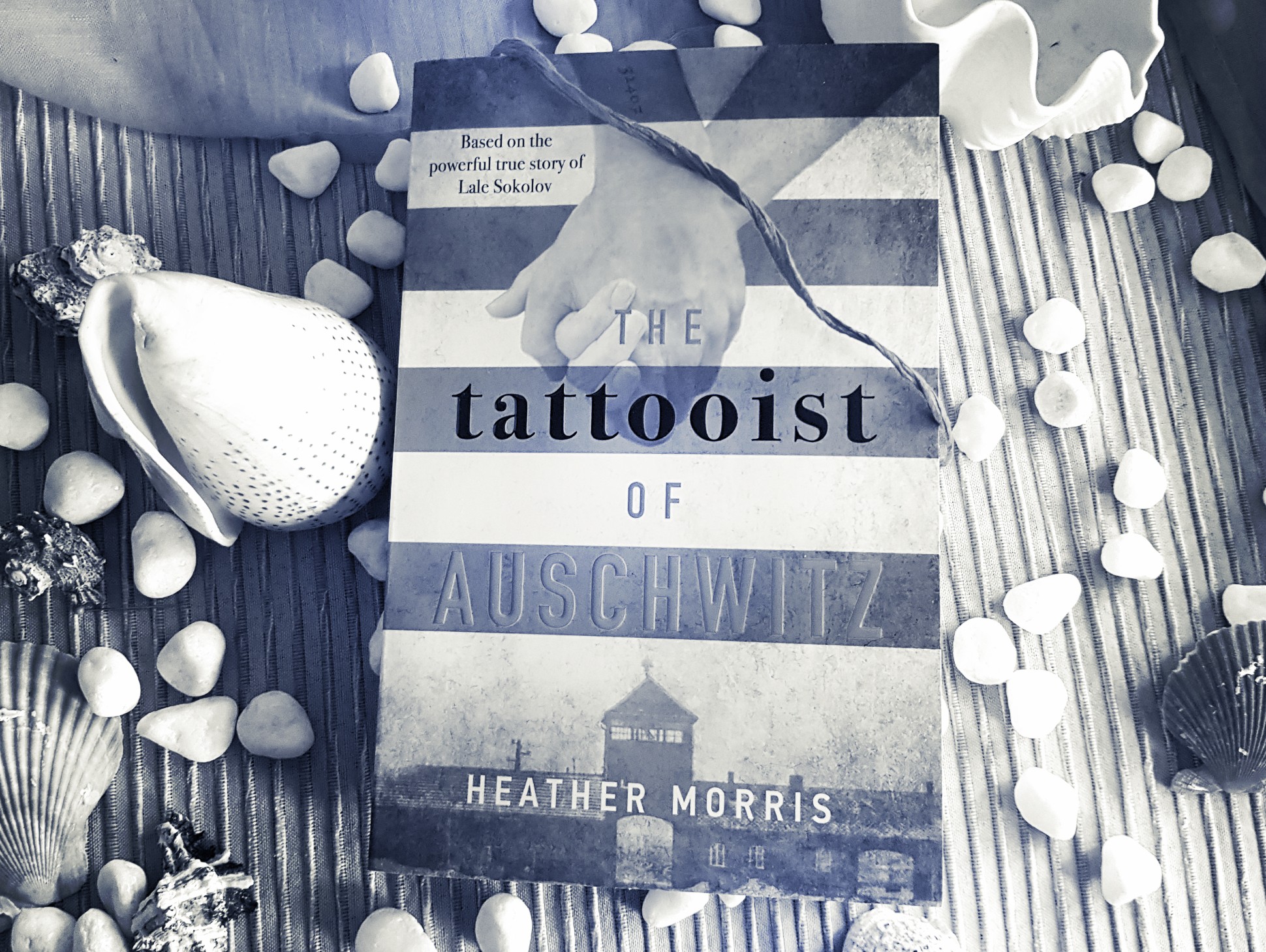 [Rezension] Heather Morris – The Tattooist of Auschwitz