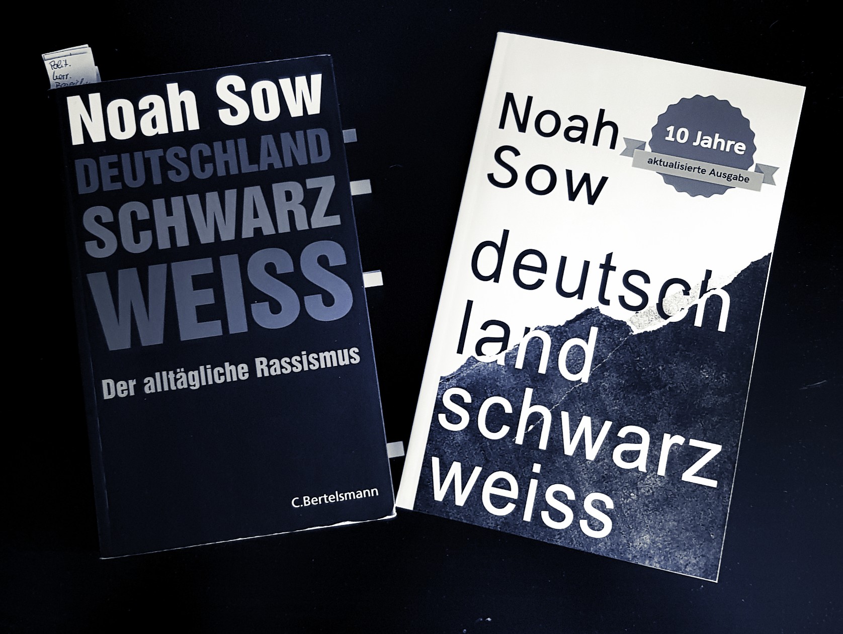 „Ich kann nicht rassistisch sein, ich bin links.“ Doch, kannst du. Leserunde zu Deutschland Schwarz Weiß