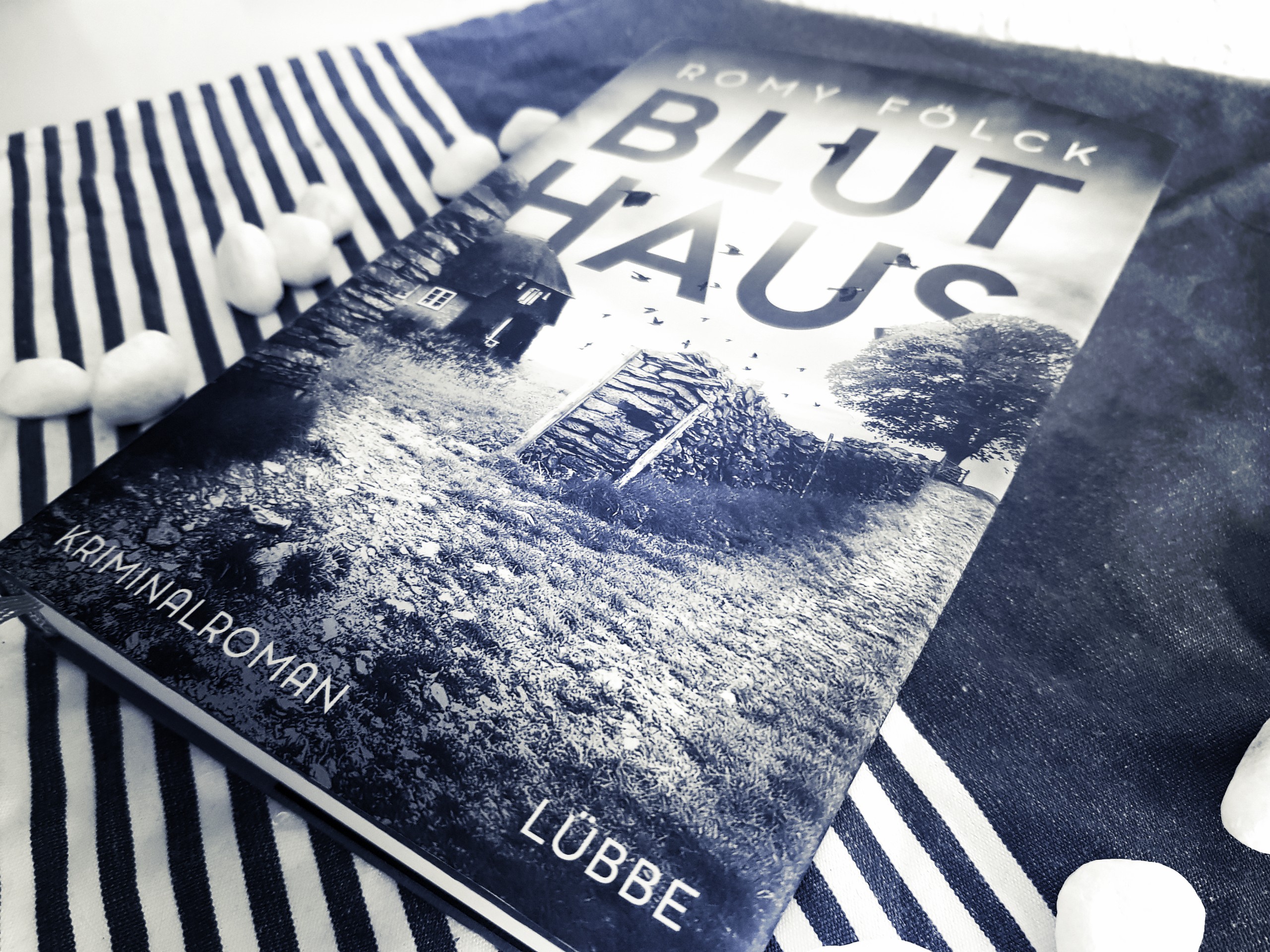 [Rezension] Romy Fölck – Bluthaus