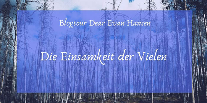 [Blogtour] Dear Evan Hansen. Die Einsamkeit der Vielen