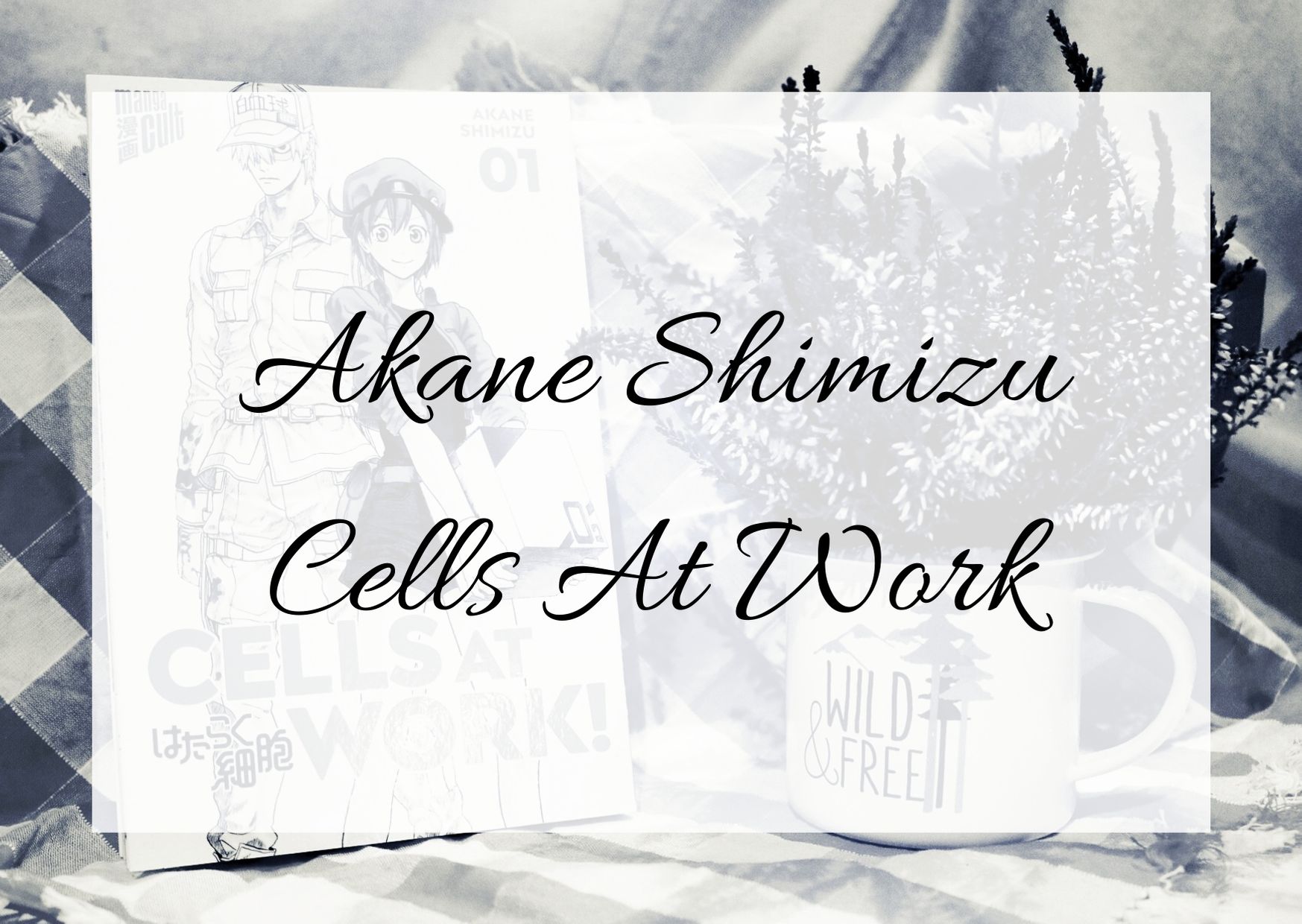 [Rezension] Akane Shimizu – Cells at Work 1