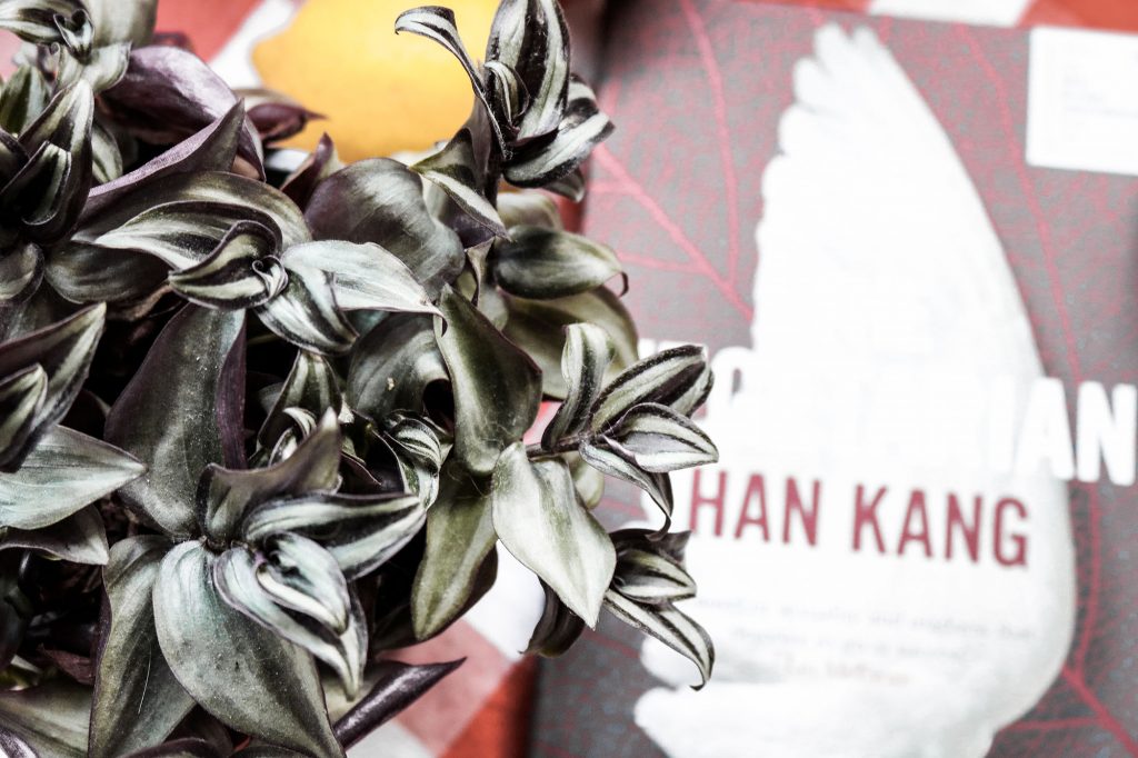 Von oben fotografierte Pflanze mit grün-lila Blättern, im Hintergrund unscharf das Buch "The Vegetarian" von Han Kang